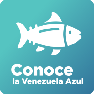 Conoce